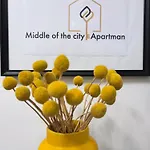 Middle Of The Apartmann *