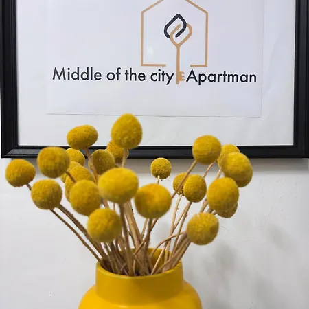 Middle Of The Apartmann *