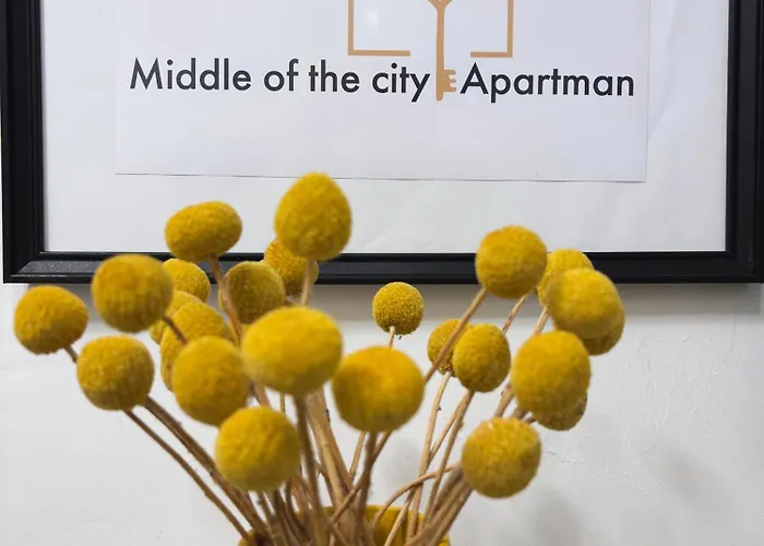 Middle Of The Apartmann *